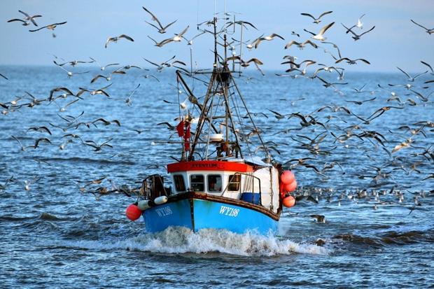 a4fe6cc0-523d-11e4-_784976c